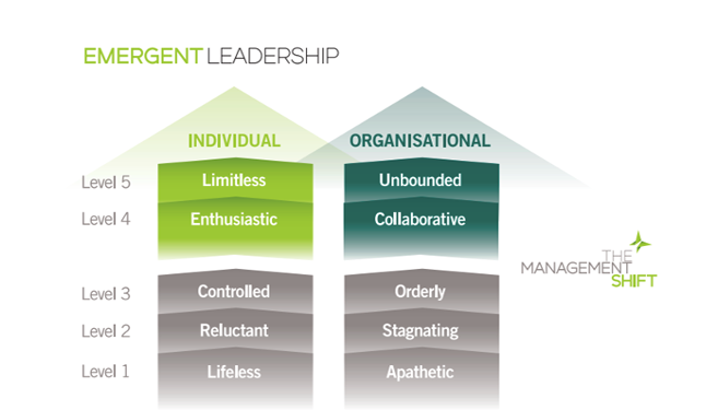Emergent Leadership Model