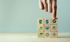 How HR delivers ESG results and contributes to the UN SDGs