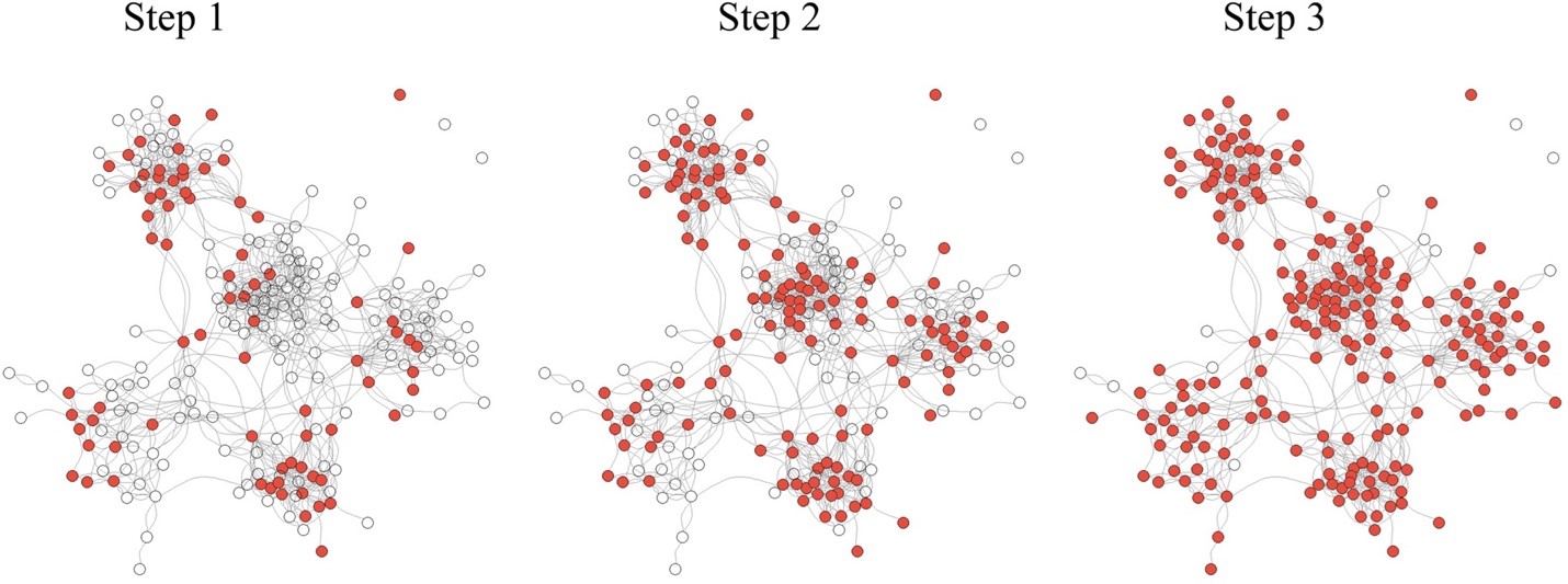 Behavior contagion Figure 1. Three step effects of strong judgement on the network.