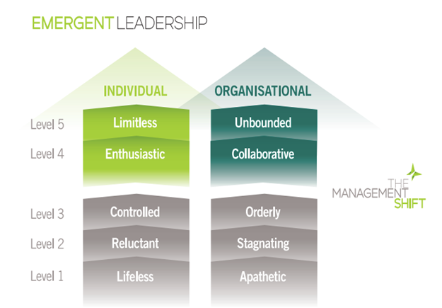 Emergent Leadership Model for The Management Shift Framework