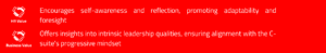 Value of behavioral interview_ C-Suite Executive search framework